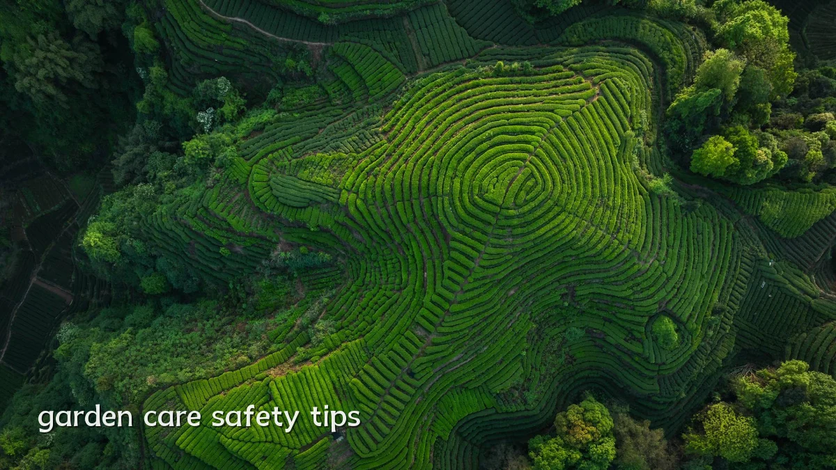 garden care safety tips