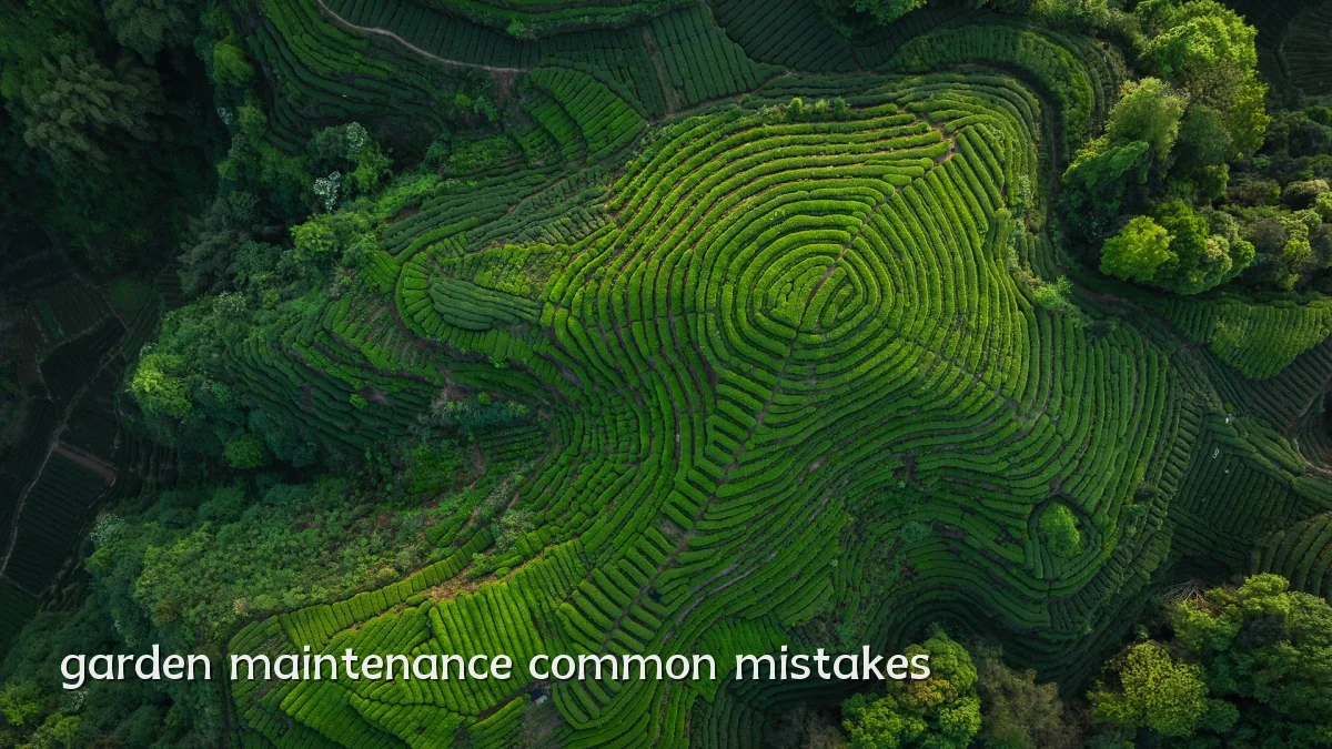 garden maintenance common mistakes