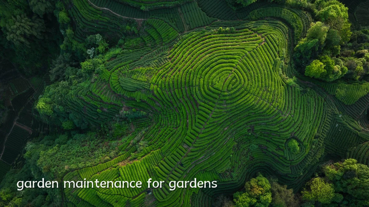 garden maintenance for gardens