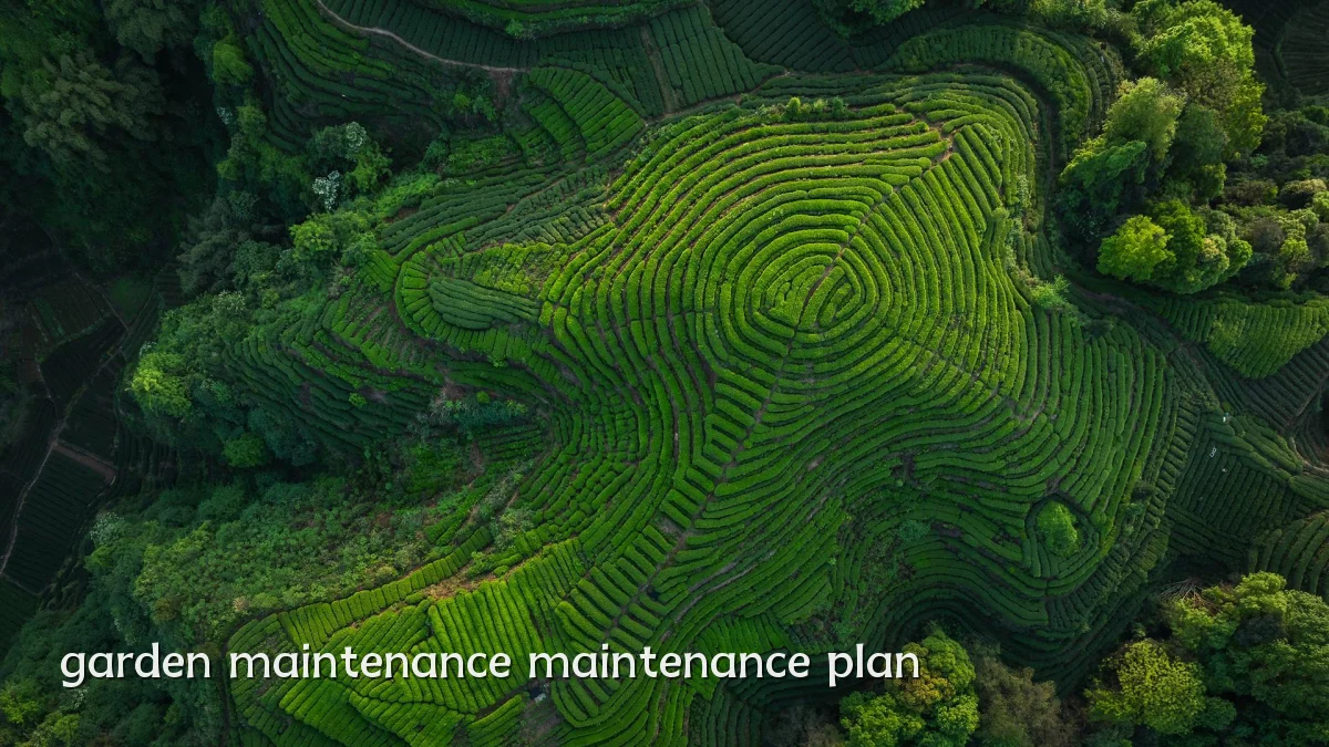 garden maintenance maintenance plan