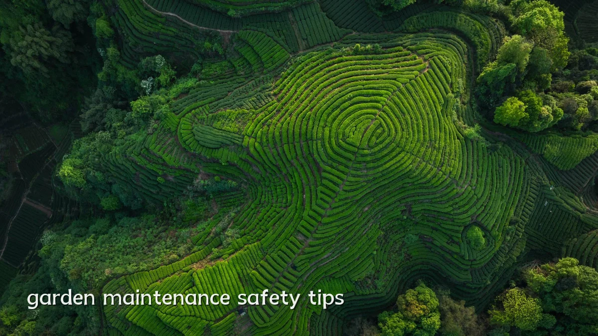garden maintenance safety tips