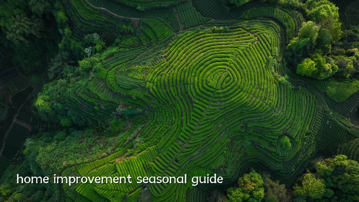 home improvement seasonal guide