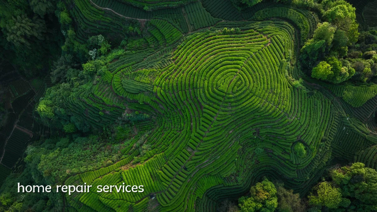 home repair services