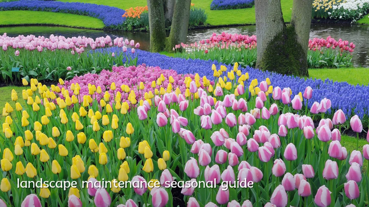 landscape maintenance seasonal guide