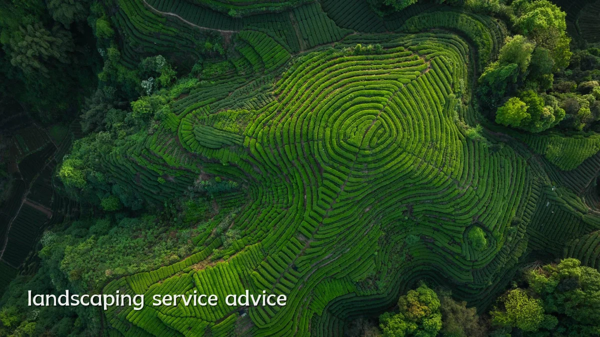 landscaping service advice