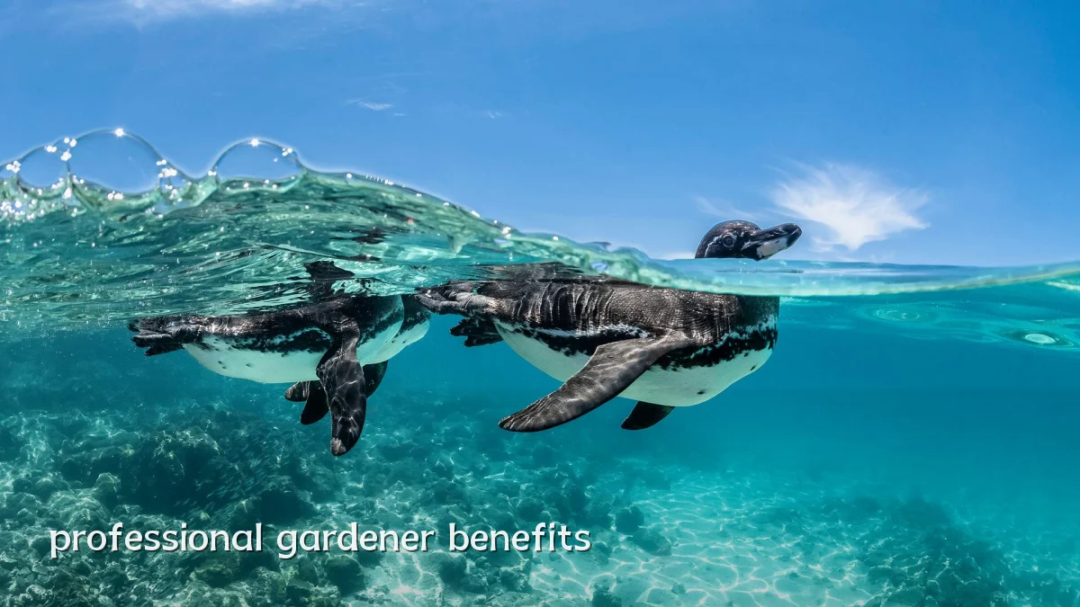 professional gardener benefits