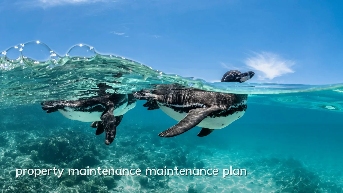 property maintenance maintenance plan
