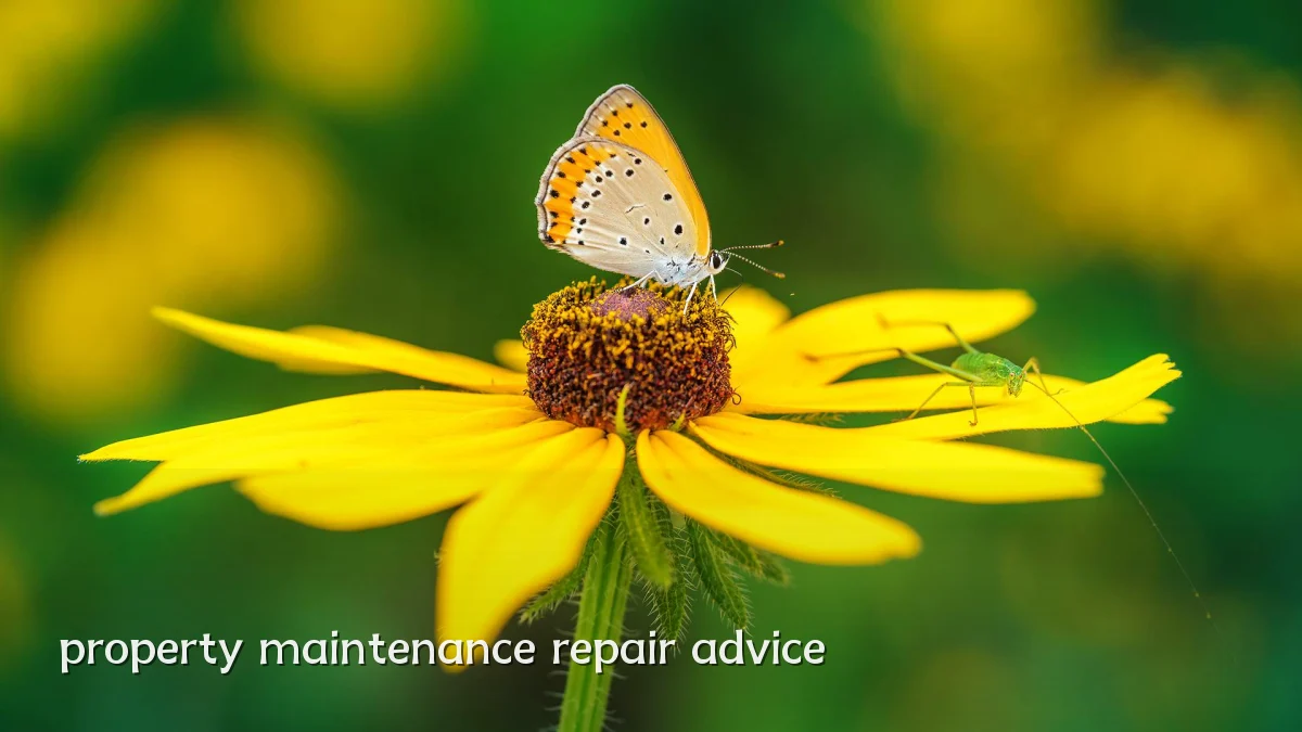property maintenance repair advice