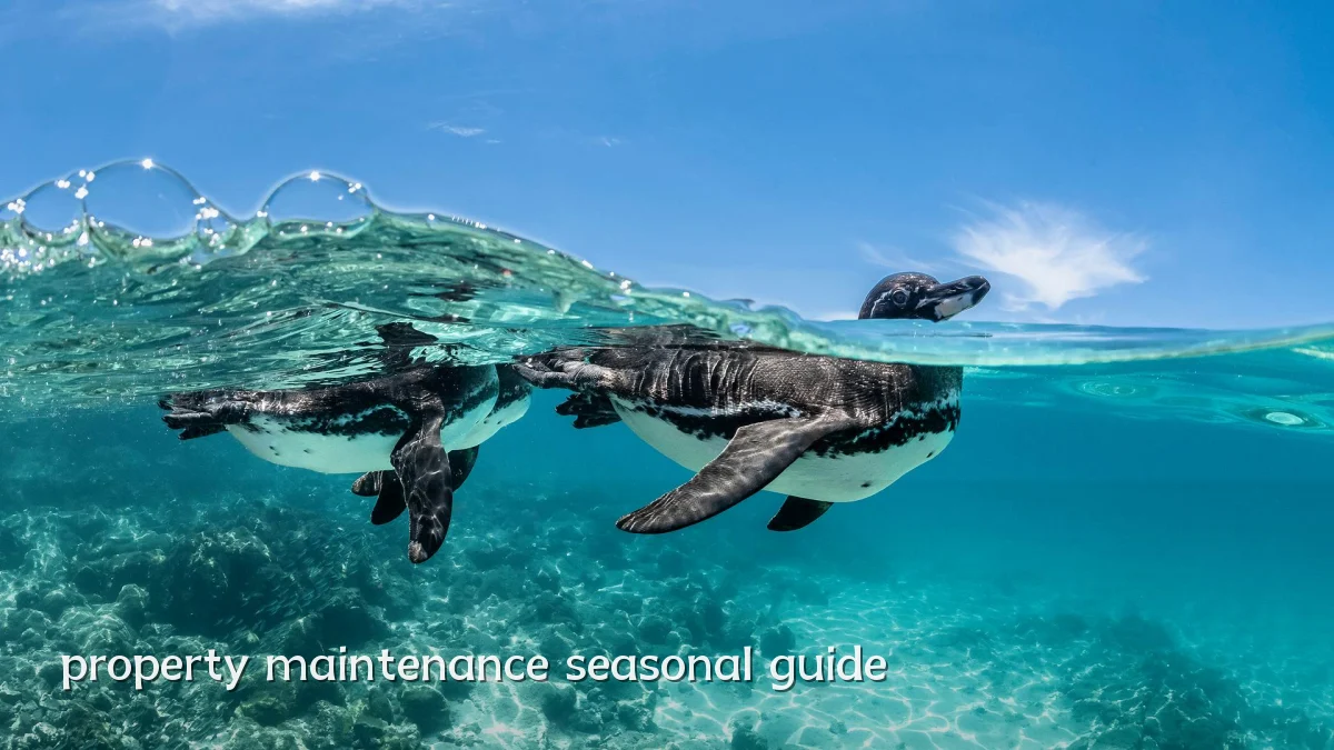 property maintenance seasonal guide
