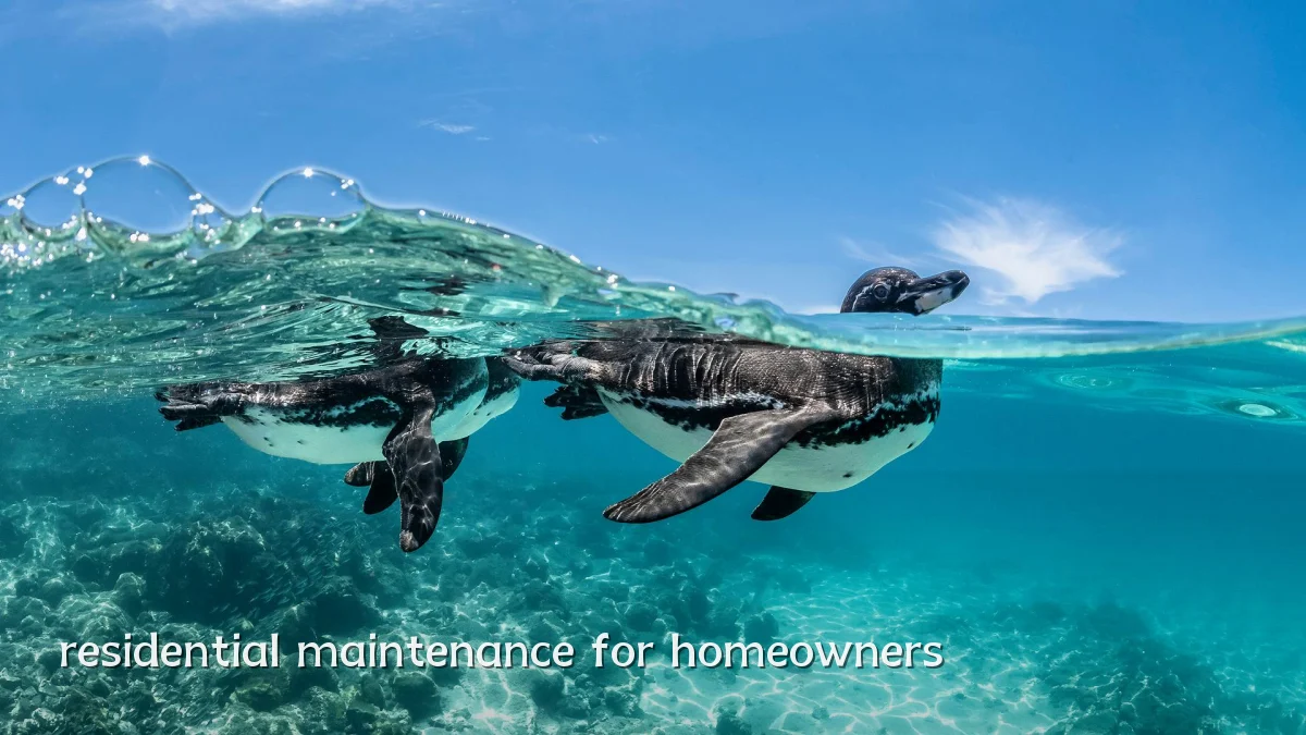 residential maintenance for homeowners