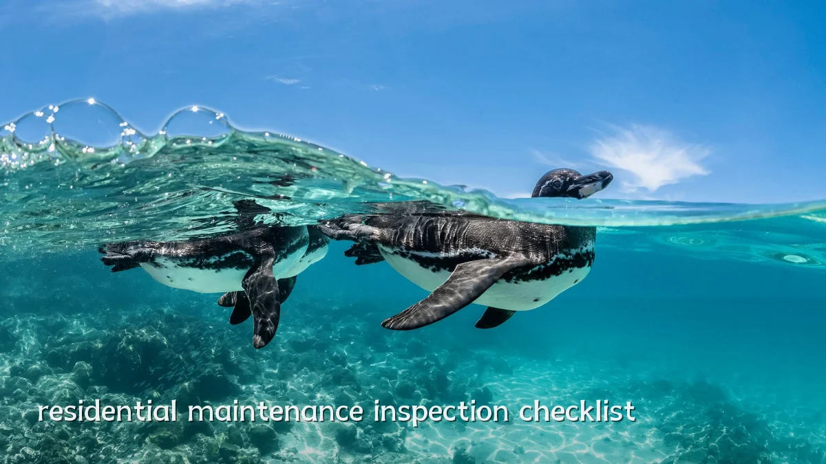 residential maintenance inspection checklist