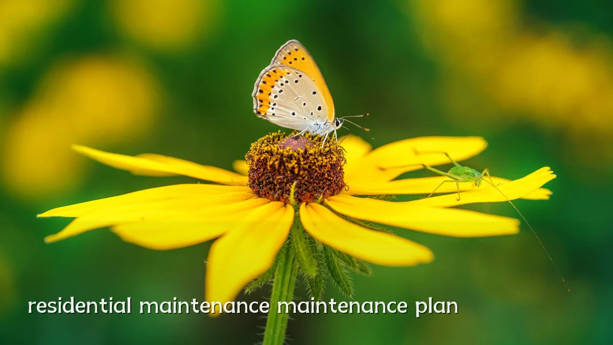residential maintenance maintenance plan