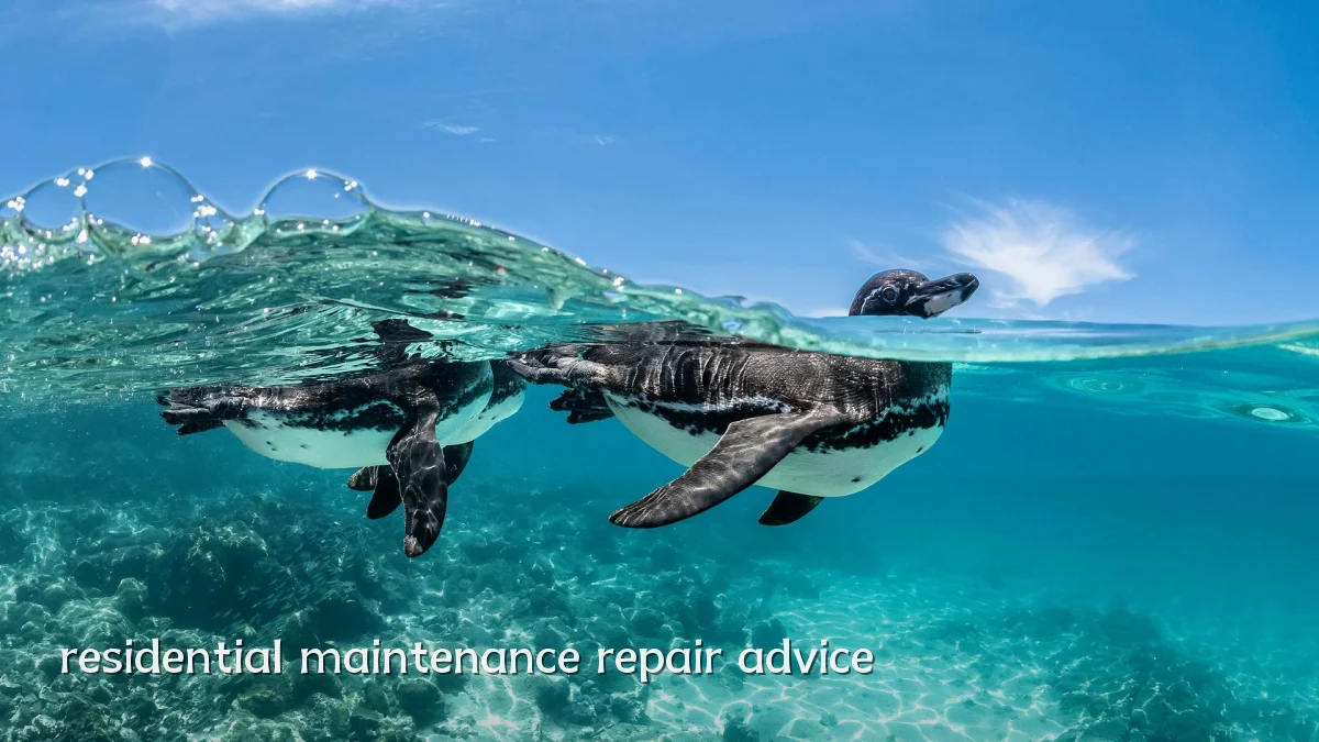 residential maintenance repair advice