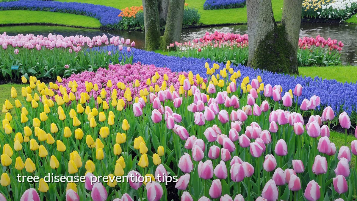 tree disease prevention tips