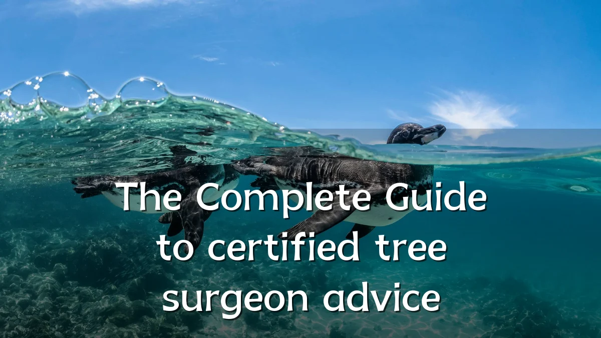 The Complete Guide to certified tree surgeon advice