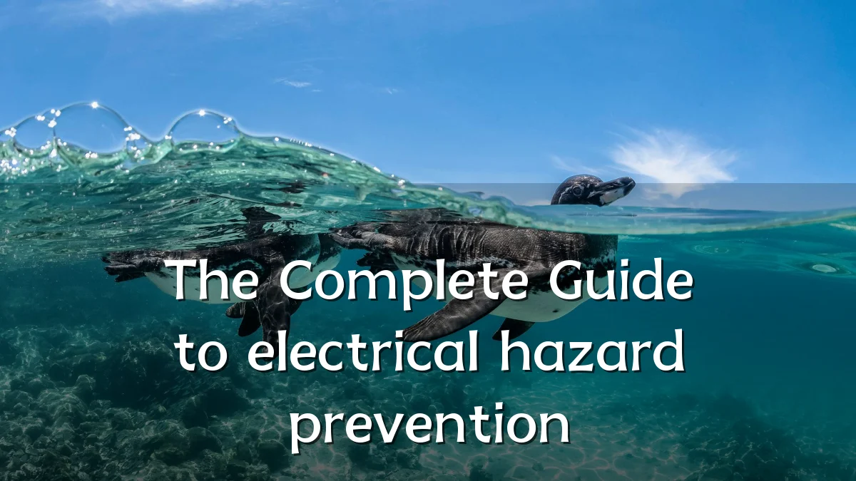 The Complete Guide to electrical hazard prevention