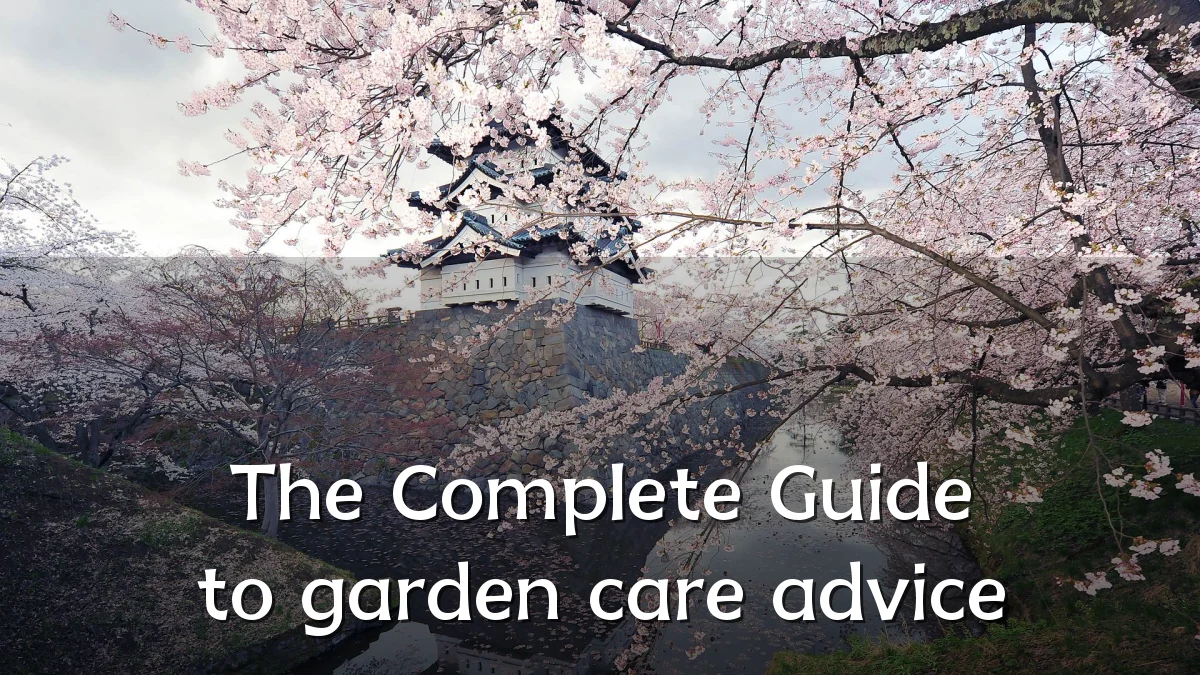 The Complete Guide to garden care advice
