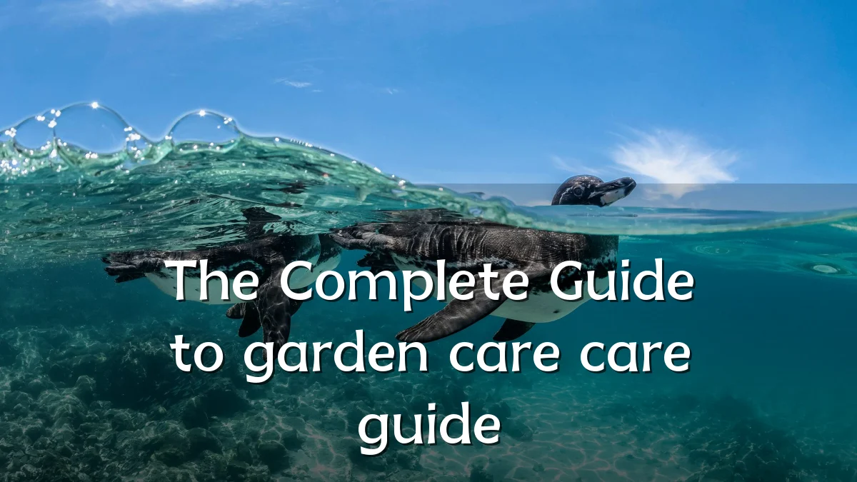 The Complete Guide to garden care care guide
