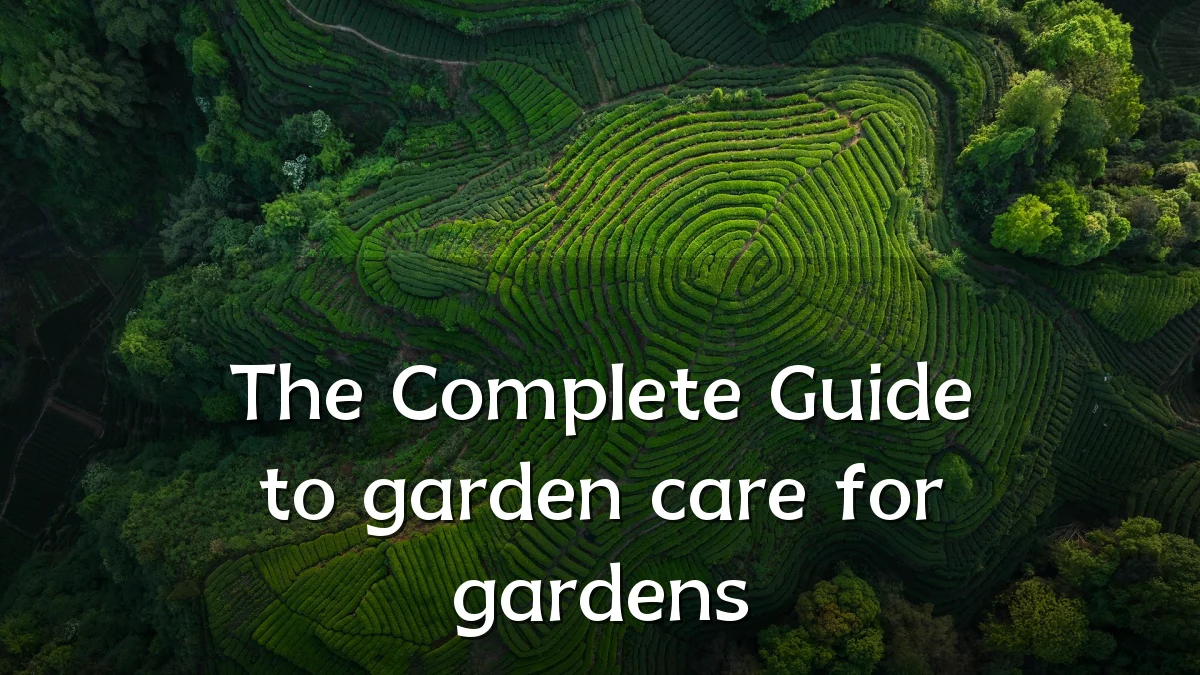 The Complete Guide to garden care for gardens