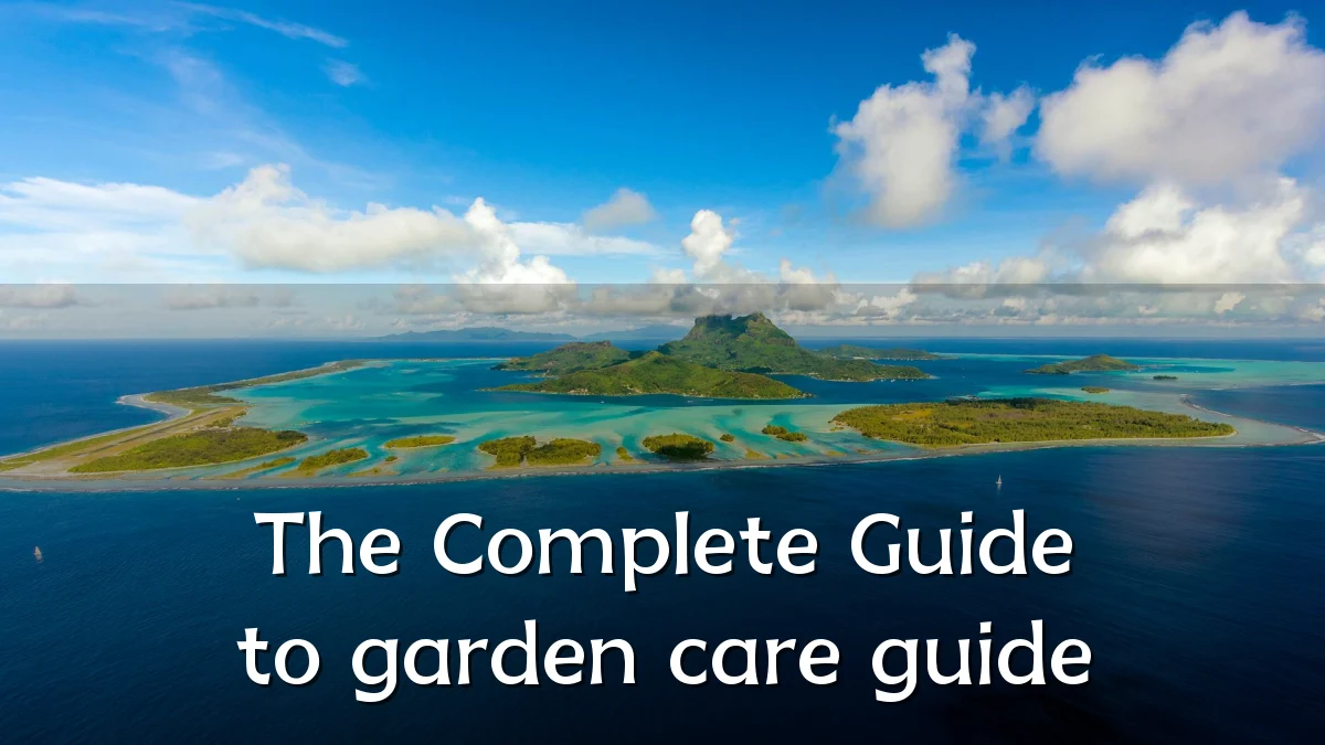 The Complete Guide to garden care guide