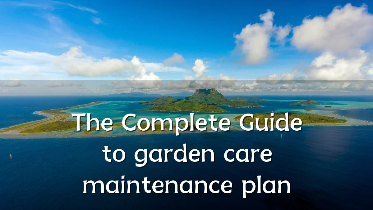 The Complete Guide to garden care maintenance plan
