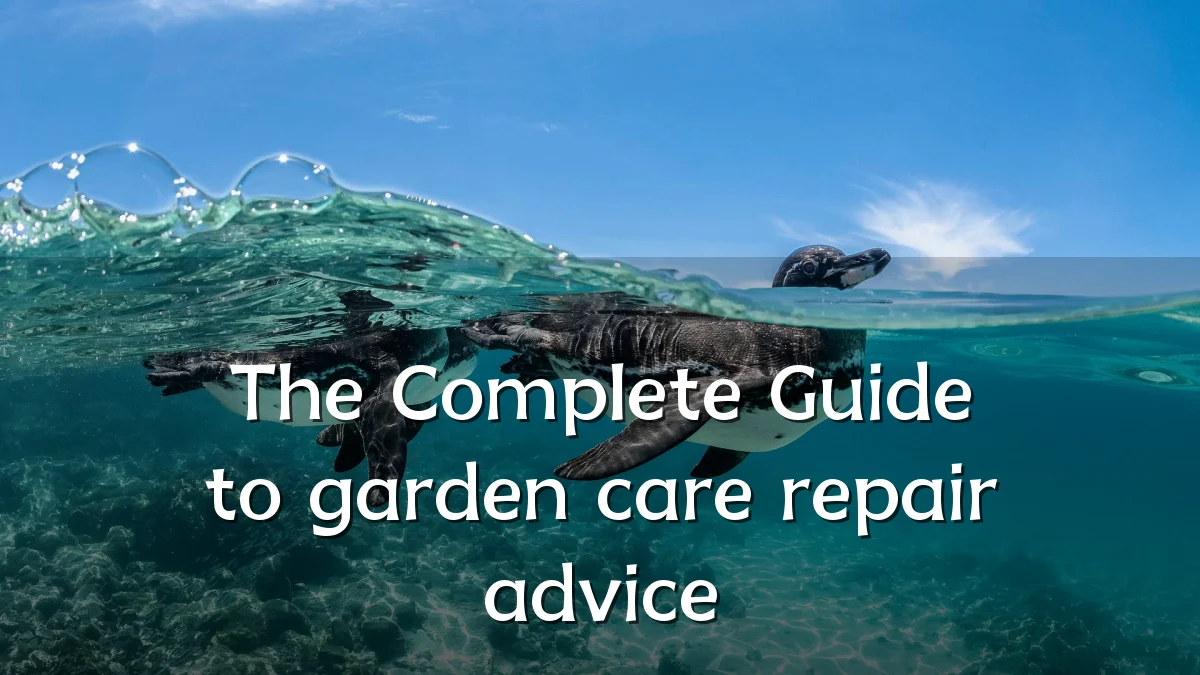 The Complete Guide to garden care repair advice
