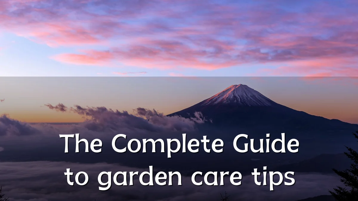 The Complete Guide to garden care tips