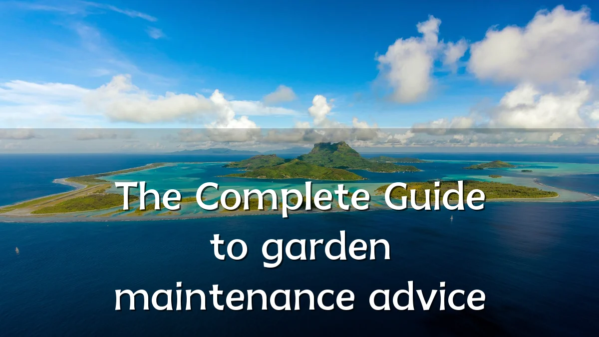 The Complete Guide to garden maintenance advice