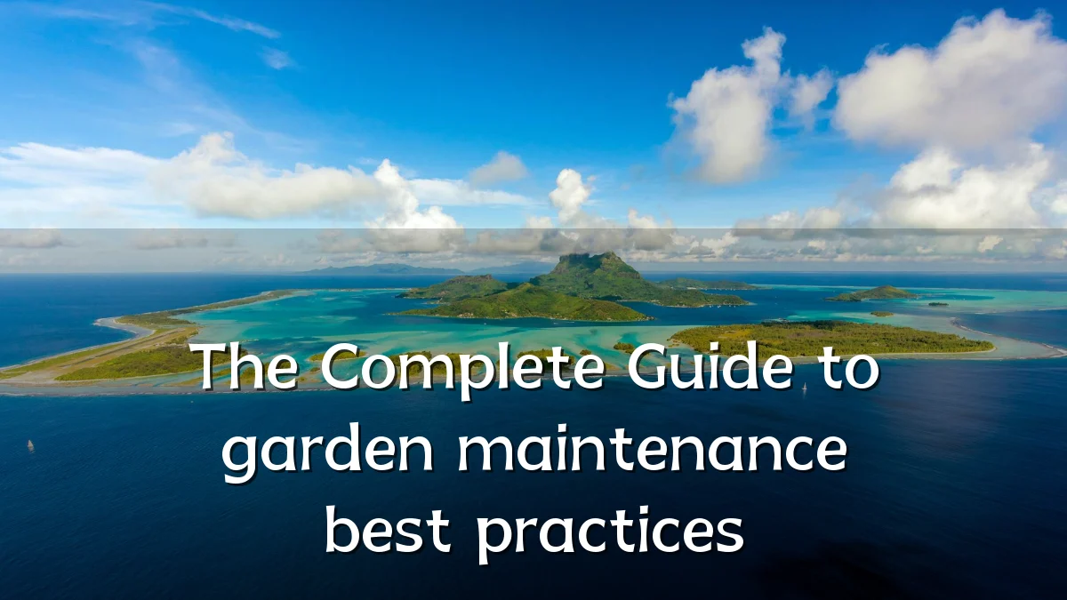 The Complete Guide to garden maintenance best practices