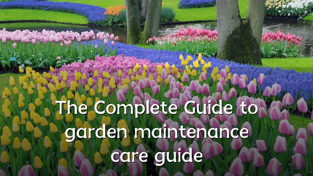 The Complete Guide to garden maintenance care guide