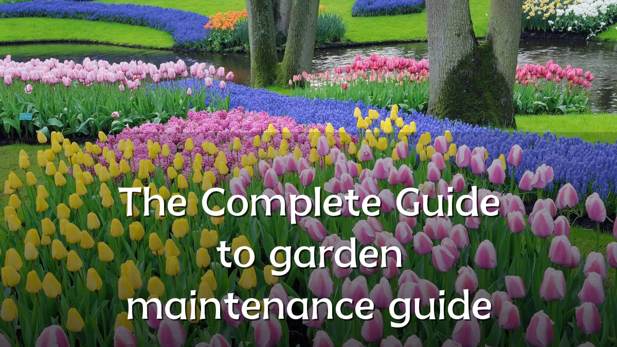The Complete Guide to garden maintenance guide