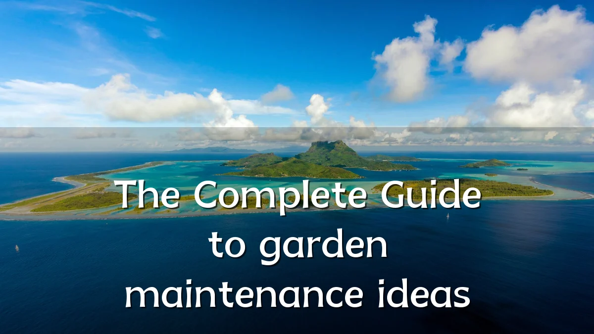 The Complete Guide to garden maintenance ideas