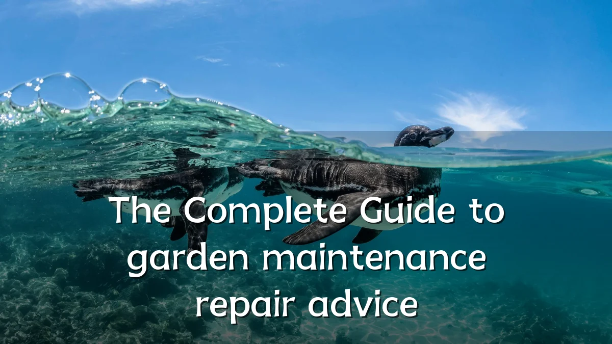The Complete Guide to garden maintenance repair advice