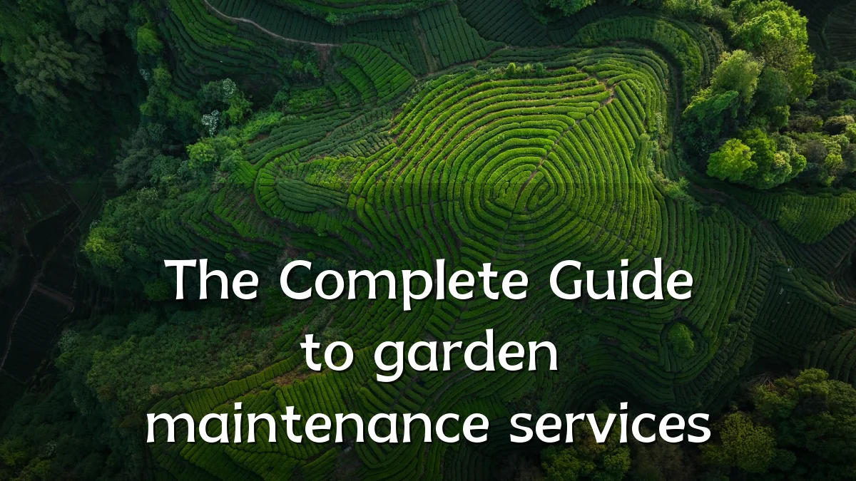 The Complete Guide to garden maintenance services