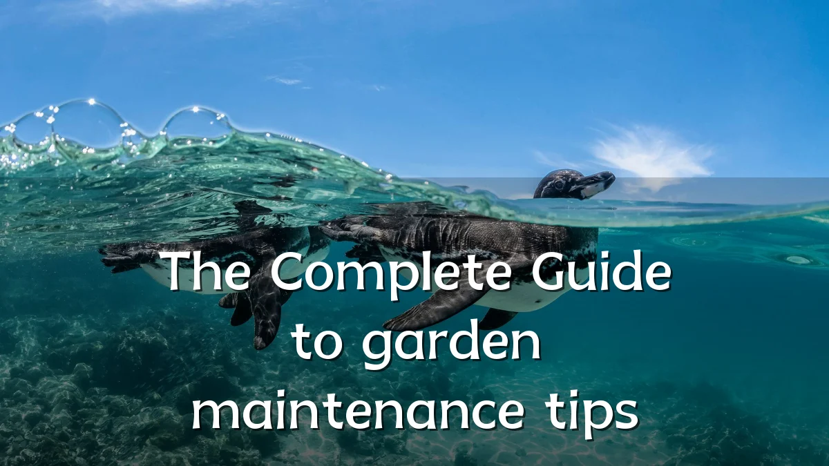 The Complete Guide to garden maintenance tips
