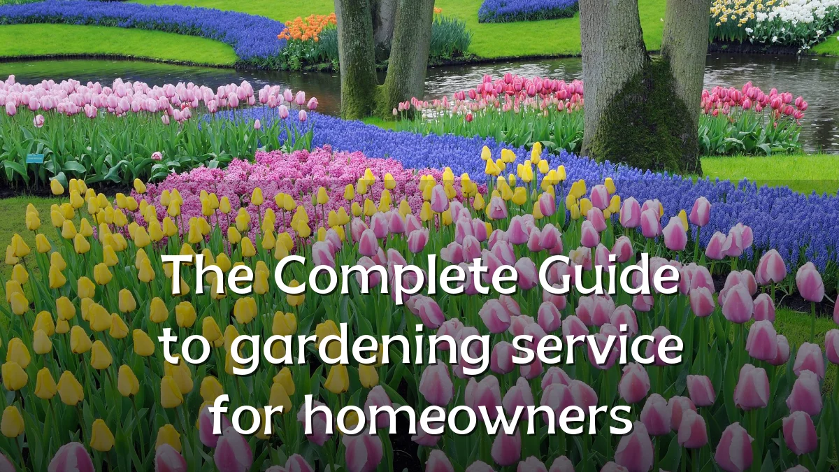 The Complete Guide to gardening service for homeowners