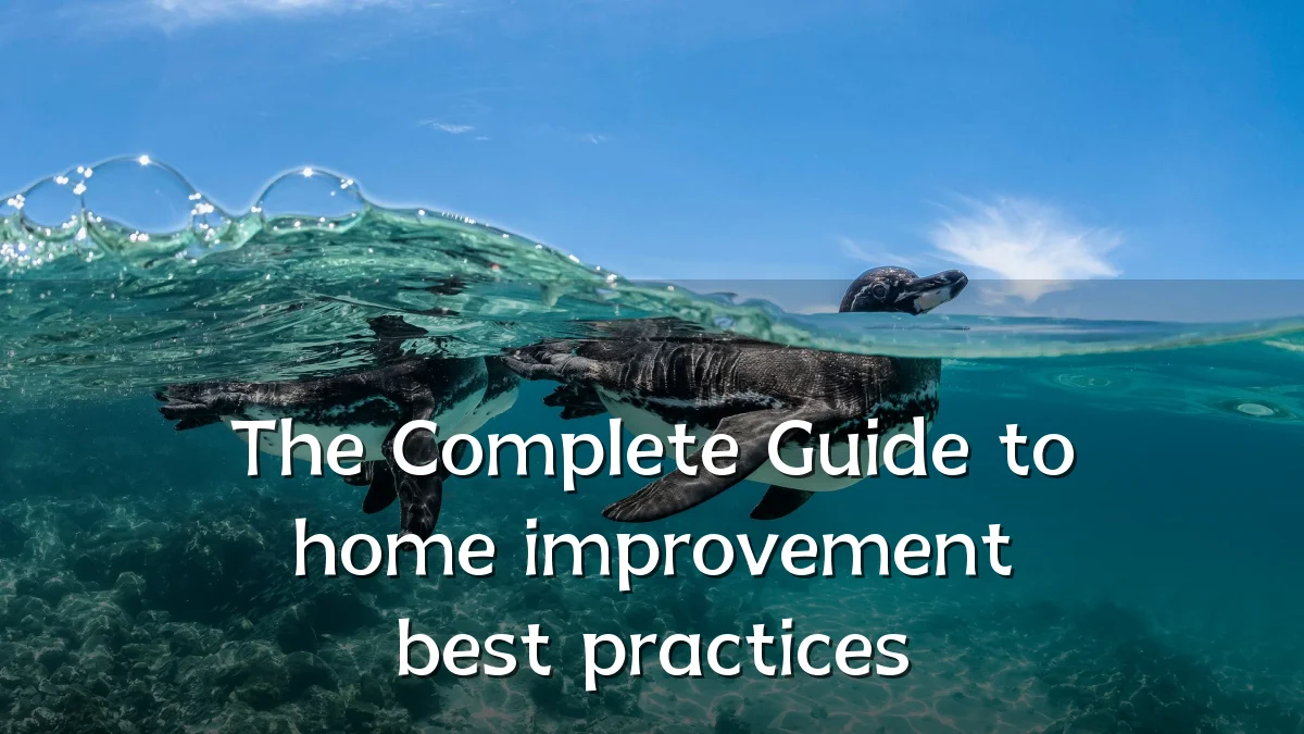 The Complete Guide to home improvement best practices