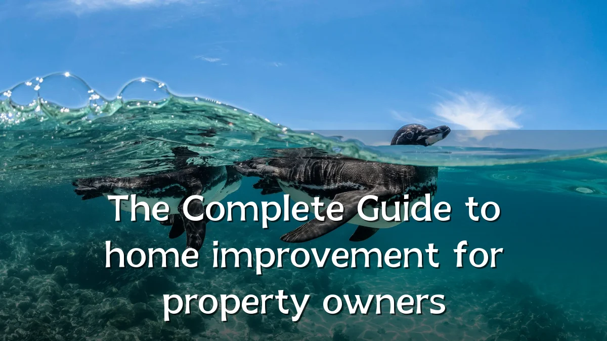 The Complete Guide to home improvement for property owners