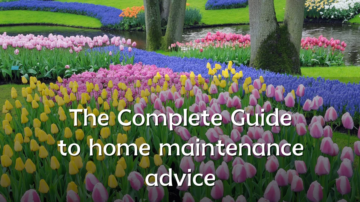 The Complete Guide to home maintenance advice