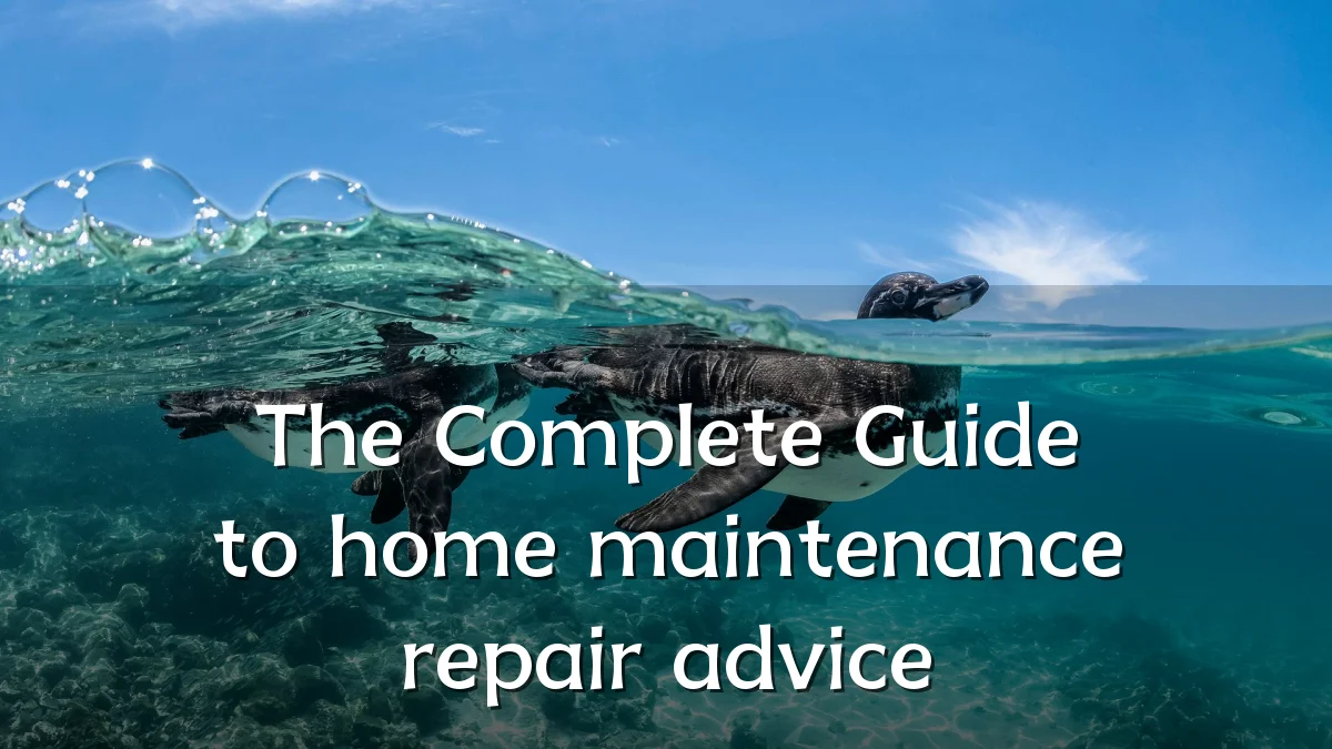 The Complete Guide to home maintenance repair advice