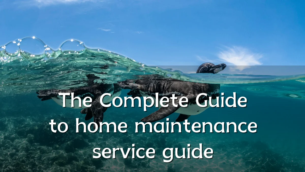 The Complete Guide to home maintenance service guide