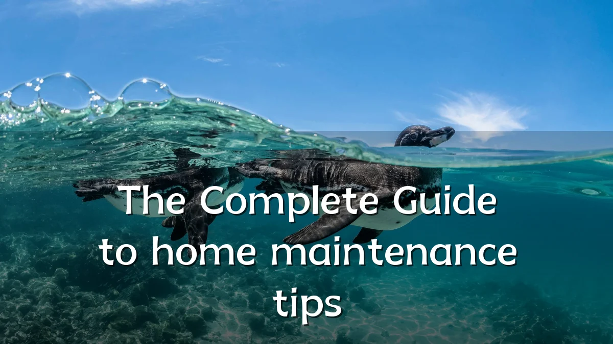 The Complete Guide to home maintenance tips