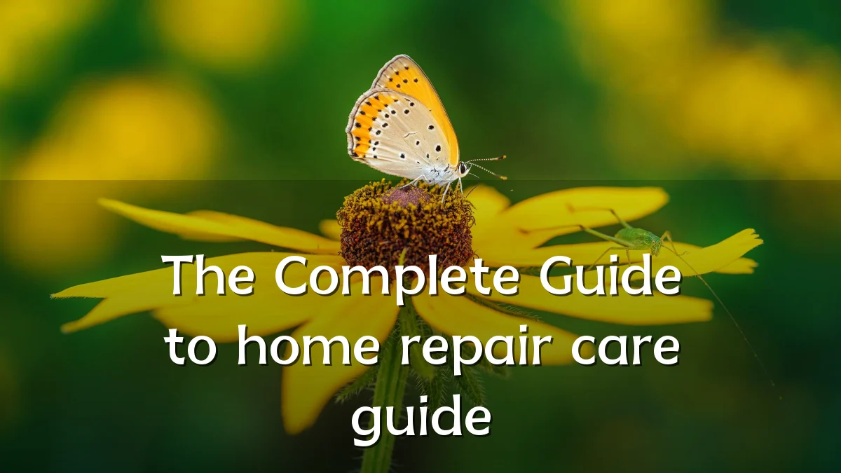 The Complete Guide to home repair care guide