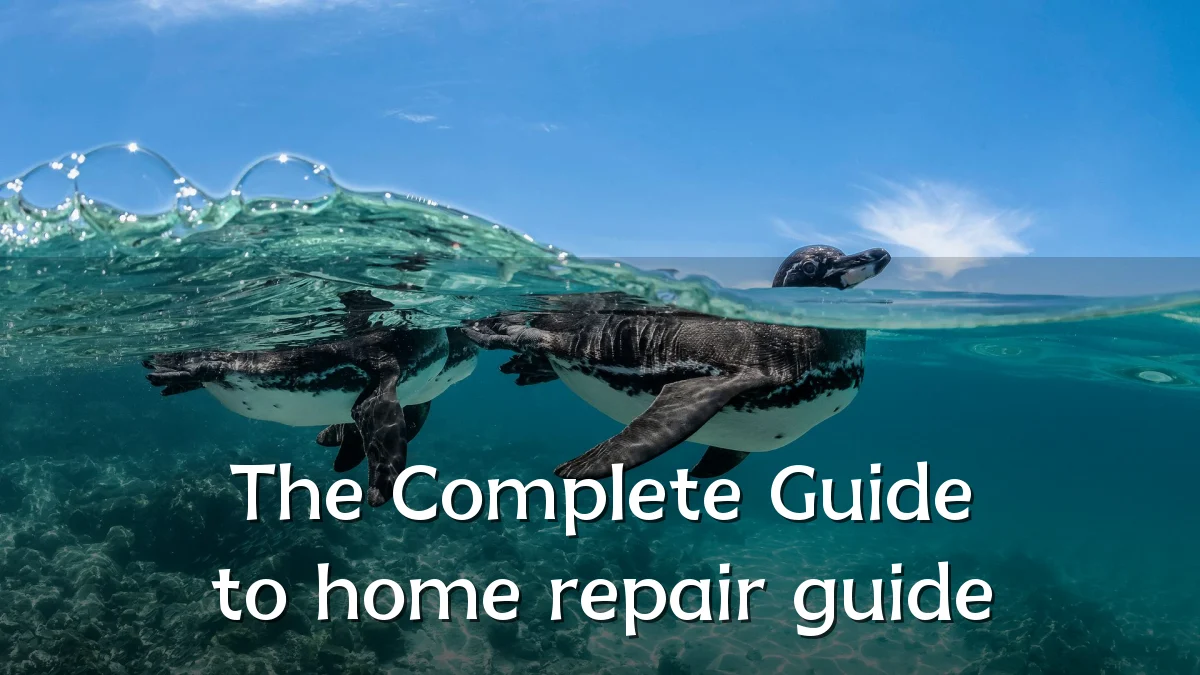 The Complete Guide to home repair guide
