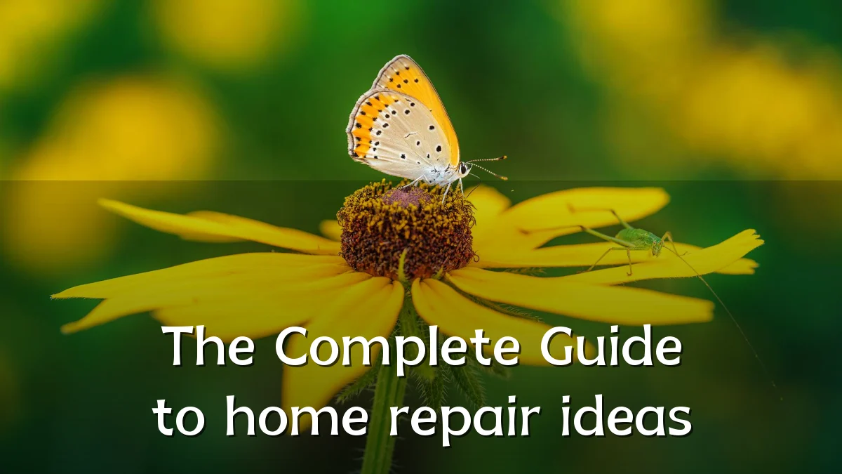 The Complete Guide to home repair ideas
