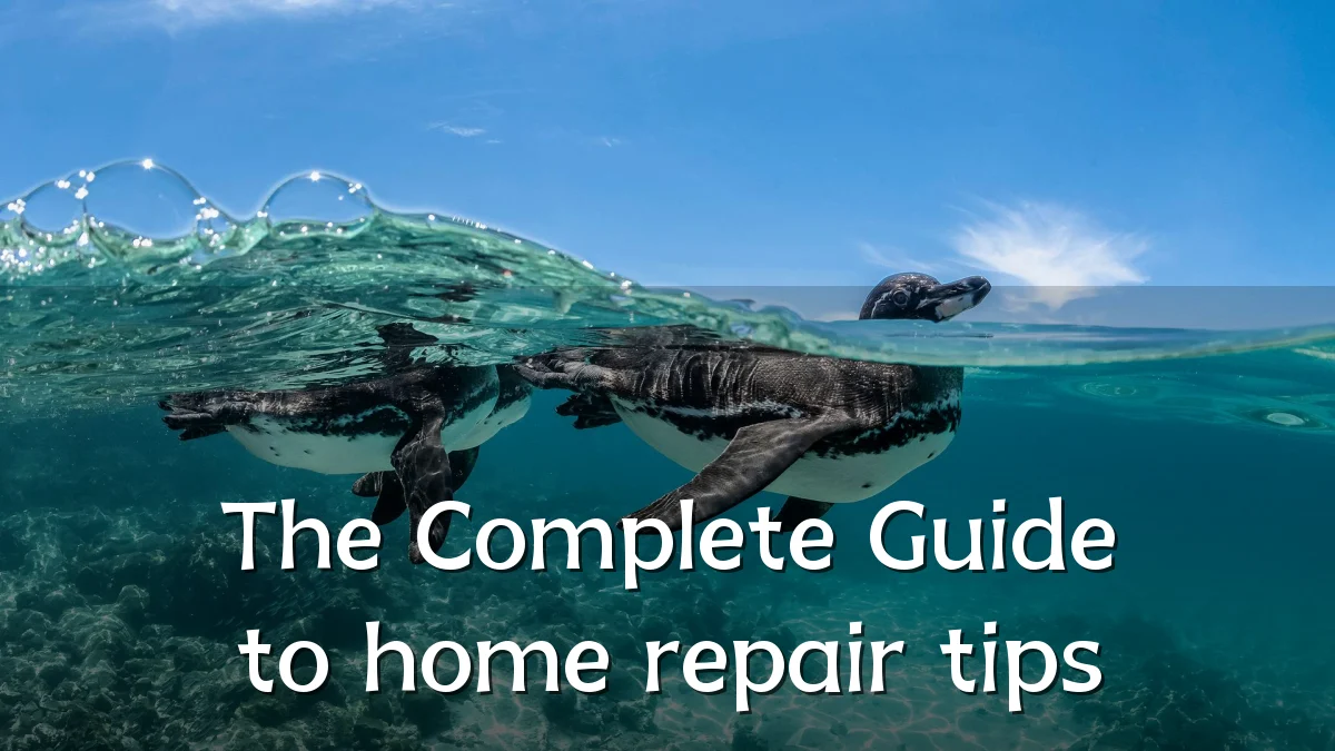 The Complete Guide to home repair tips