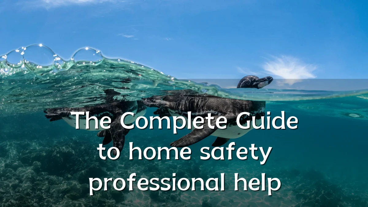 The Complete Guide to home safety professional help