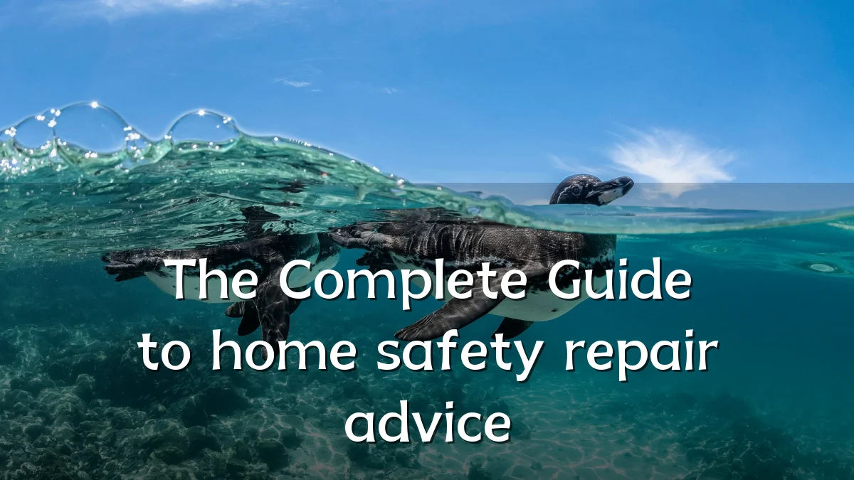 The Complete Guide to home safety repair advice