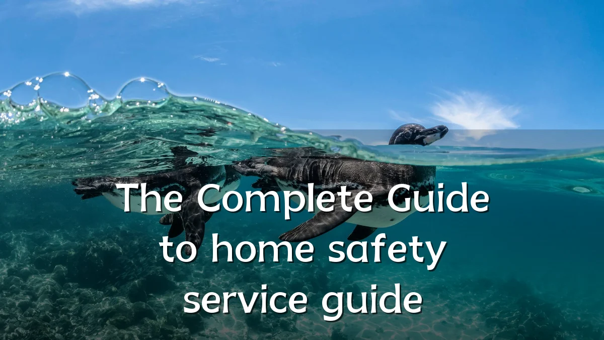 The Complete Guide to home safety service guide
