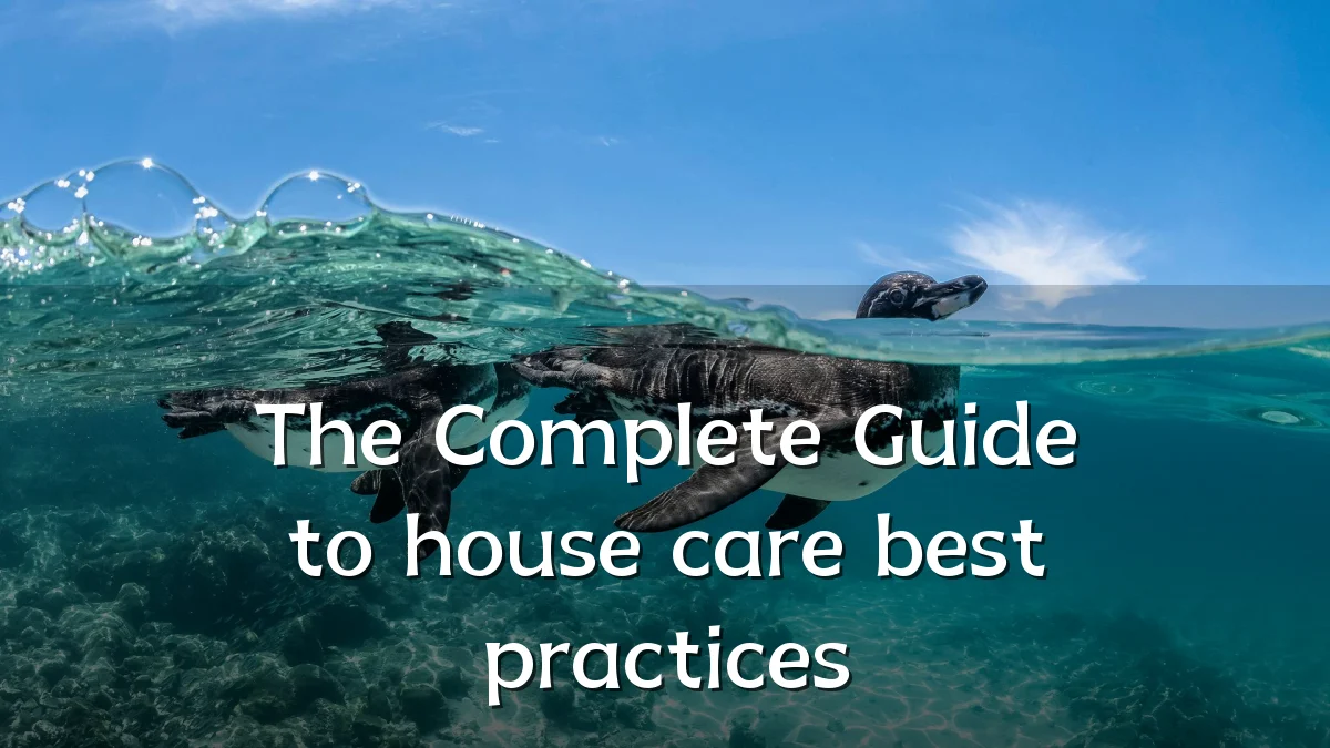 The Complete Guide to house care best practices